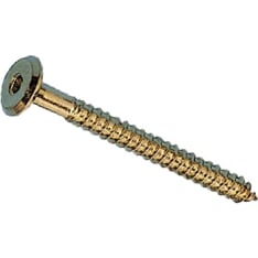 Pisla 311 6.3 x 60 mm brass HK screw
