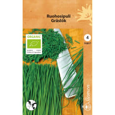 Organic Chives