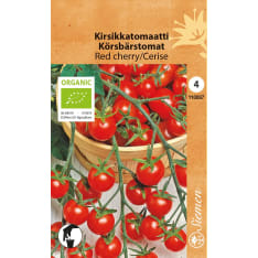 Organic Cherry tomato Red cherry/Cerise