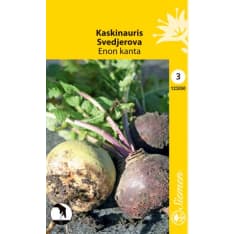 Turnip Enon kanta ®