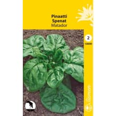 Spinach Matador