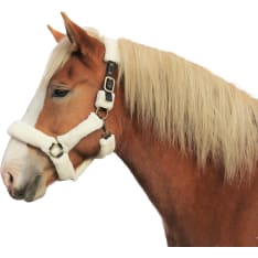 Spirit padded halter