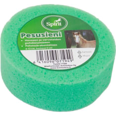 Spirit pyöreä pesusieni