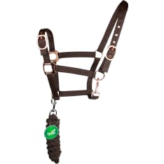 Spirit halter + rope