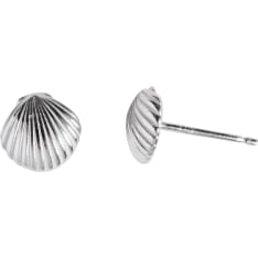 Cailap silver earrings