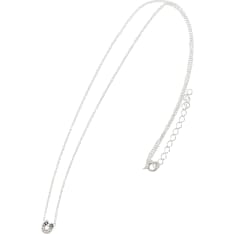 Cailap silver necklace with horseshoe pendant