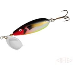 Bete Lotto 15 g / 6 cm lippa