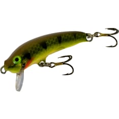 Nils Master Invincible 5 cm vaappu