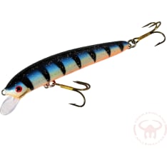 Nils Master Invincible 12 cm vaappu