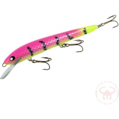 Nils Master Invincible 15 cm cradle