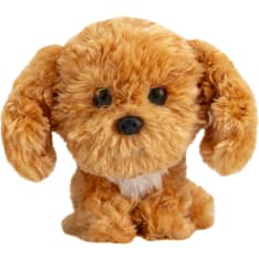Lumo Stars Cavapoo Teddy pehmolelu classic 15cm