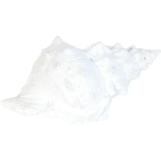 Finnmari simpukkakoriste