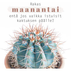 Linnapaperi MTFM-24 #tulivaanmieleen magnet