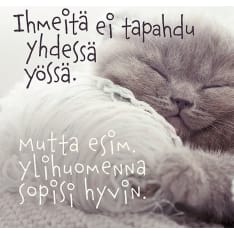 Linnapaperi MTFM 119 #tulivaanmieleen magneetti
