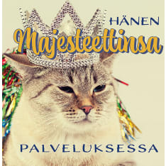 Linnapaperi MTFM 143 #tulivaanmieleen magnet