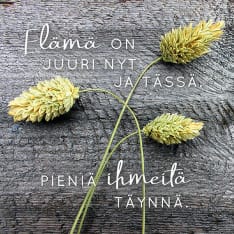 Linnapaperi MTFM 164 #tulivaanmieleen magnet