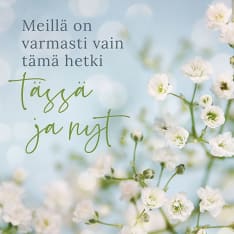 Linnapaperi MTFM-173 #tulivaanmieleen magnet