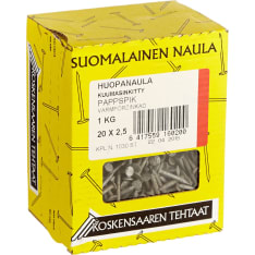 Koskensaari 20x2.5 1kg hot-dip galvanized felt nail