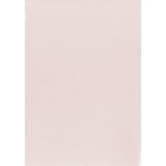 Pearlescent paper A4 champagne 10pcs