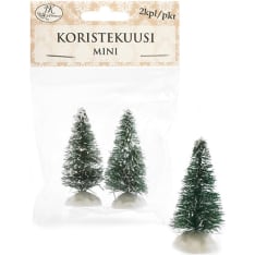 Miniature spruce small