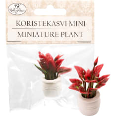 J.K. Primeco red Miniature plant