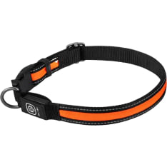 Safemate koiran oranssi ladattava LED-valopanta