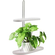 Led Energie Horti Plant Grow Light Base, 10W, 5000K, USB