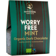 Dammenberg 90 g mint dark chocolate button