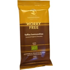 Dammenberg Organic Caramel chocolate bar 70g