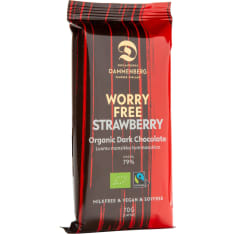 Dammenberg strawberry 70 g dark chocolate bar
