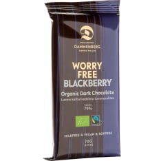 Dammenberg raspberry 70 g dark chocolate bar