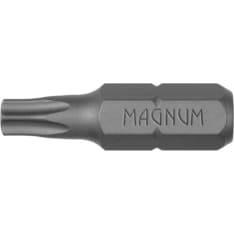 Magnum 25mm 100kpl c torx ruuvauskärki