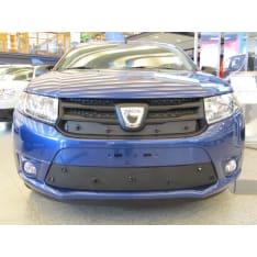 Tammers Dacia Sandero/Stepway 2013-2016 hood