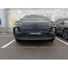 Tammers TS890 Hyundai Tucson 2021 mask cover