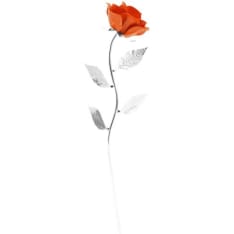 Top Nordic 33 cm party rose