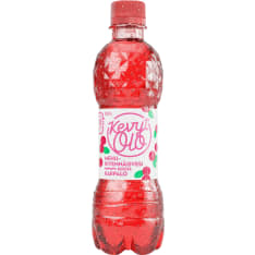 KevytOlo Karpalo 0,5 l mehukivennäisvesi