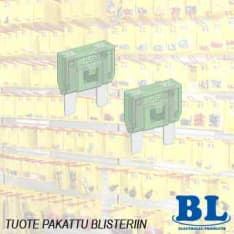 BL Maxi 2 pcs Fuse