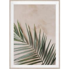 Amanda B Palm taulu