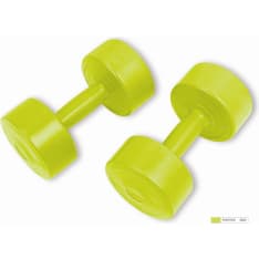 Eco Body vinyl dumbbell