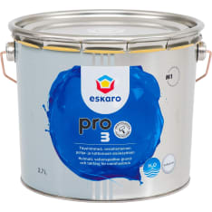 Eskaro Pro 3 interior paint