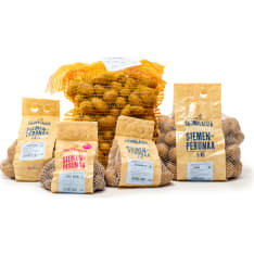 SEEDPOTATO ANNABELLE 1 KG