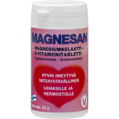 Magnesan Magnesium + B-vitamiini ravintolisä