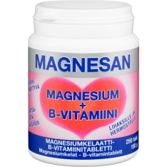 Magnesan Magnesium + B-vitamiini ravintolisä