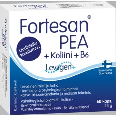 Fortesan PEA + Choline + B6 60caps food supplement