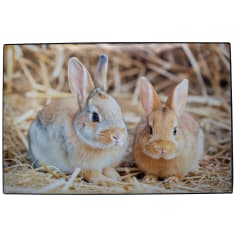 AIKA kirjoitusalusta Rabbit