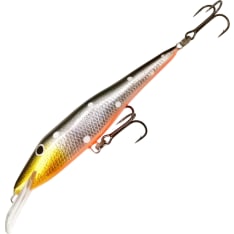 A dark 12 cm deep bed