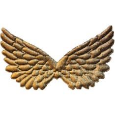 Farnia angel´s wing  15cm