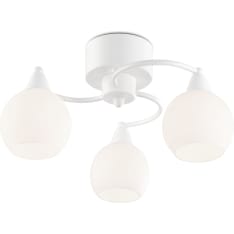 Sessak Iris-3 ceilings