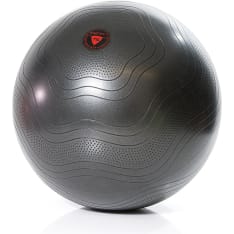 Gymstick exercise ball