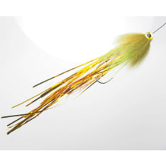 Eumer pikes fly